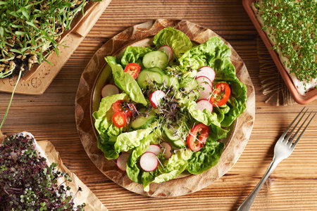 Vegetable salad with fresh cabbage and cress sprouts or microgreens, with lettuce, radish, cucumber and bell pepperの写真素材