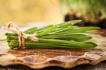 Fresh young green barley grass blades on a wooden table, closeupの写真素材
