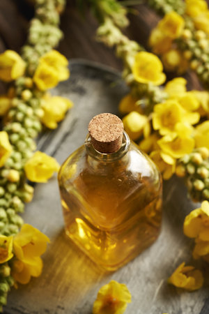 A bottle of mullein or Verbascum densiflorum tincture with fresh blossomsの写真素材