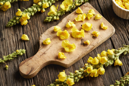 Fresh mullein or Verbascum flowers on a cutting board - preparation of herbal tinctureの写真素材