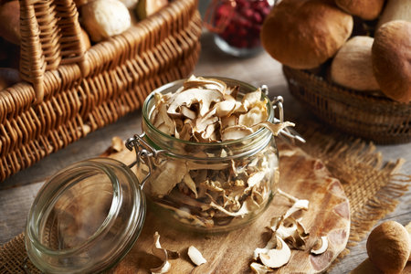 Dry and fresh wild orcini or bolete mushrooms harvested in the forest in autumnの写真素材