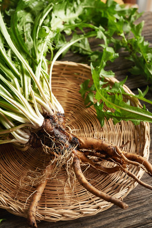 Whole dandelion plants with roots in a wicker basket on a tableの写真素材