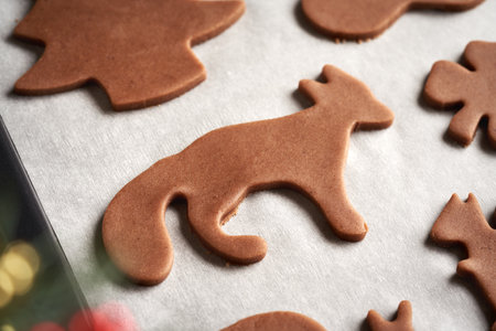 Fox shape cut out from raw pastry dough on a sheet of baking paper - preparation of homemade gingerbread Christmas cookiesの写真素材
