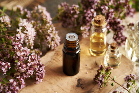 A brown bottle of aromatherapy essential oil with fresh blooming oregano plantの写真素材
