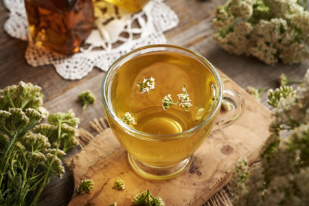 Yarrow tea in a glass cup. Herbal medicine.の写真素材
