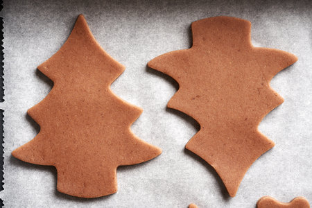 Tree shapes cut out from raw pastry dough on a sheet of baking paper - preparation of homemade gingerbread Christmas cookiesの写真素材