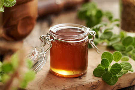 Plectranthus or Coleus amboinicus syrup for common cold in a glass jar with fresh leavesの写真素材
