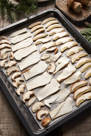 Drying sliced fresh wild porcini or  king bolete mushrooms on parchment paperの写真素材
