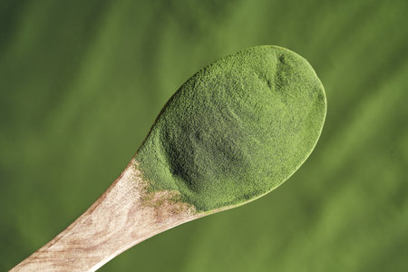 Green chlorella algae powder on a spoon, top viewの写真素材