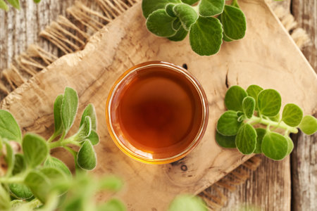 A bowl of Plectranthus or Coleus amboinicus syrup for common cold with fresh plant, top viewの写真素材