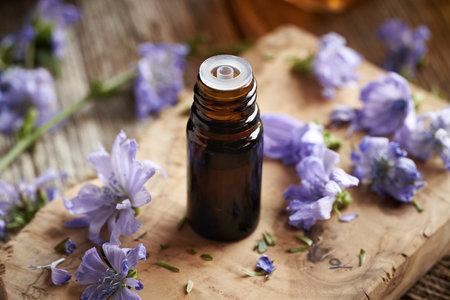 A dark bottle of herbal tincture with fresh chicory flowersの写真素材