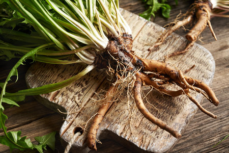 Whole dandelion root on a wooden table, closeupの写真素材