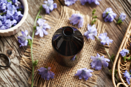 A dark bottle of herbal tincture with chicory flowers on a tableの写真素材