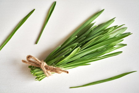 Fresh young green barley grass blades on white background - healthy nutritional supplementの写真素材