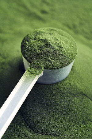 Green chlorella algae powder in a plastic measuring scoopの写真素材