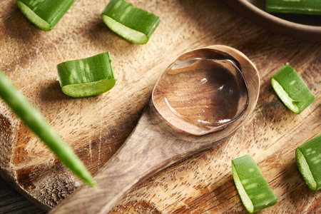 Clear aloe vera gel on a wooden spoon with fresh sliced leavesの写真素材