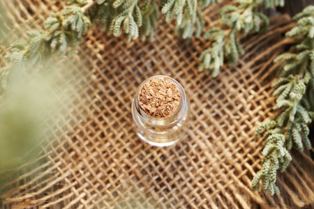 A bottle of aromatherapy essential oil with fresh santolina leavesの写真素材