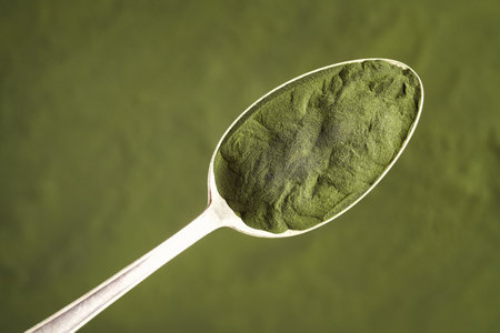 Green chlorella algae powder on a metal spoon - healthy nutritional supplement, top viewの写真素材