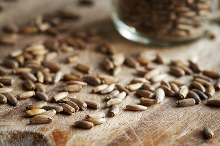 Milk thistle seeds on a wooden table