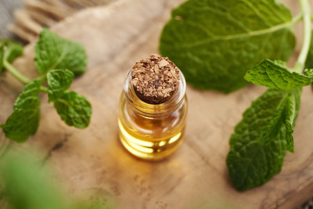 A bottle of aromatherapy essential oil with peppermint plantの写真素材
