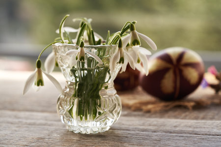 Snowdrop flowers harvested in Early spring with brown Easter eggs dyed with onion peels in the...