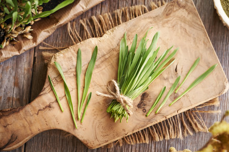 Fresh young green barley grass blades on a wooden table, top viewの写真素材