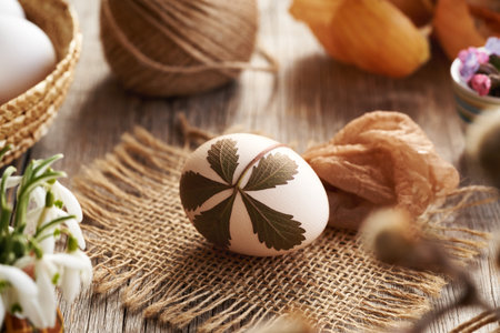 Raw Easter egg with herbs attached to it - preparation for dyeing with onion peels in spring