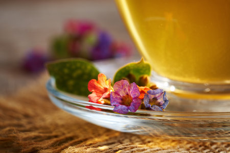 Close up of lungwort or pulmonaria flowers harvested in early spring with a cup of herbal teaの写真素材