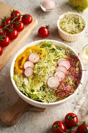 Vegetable salad with fresh beet and leek sproutsの写真素材
