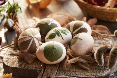 Attaching fresh leaves to Easter eggs before dyeing themの写真素材