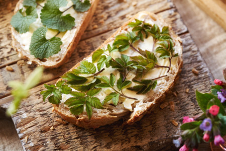 Ground elder or goutweed leaves - wild edible plant harvested in early spring on a slice of sourdough breadの写真素材
