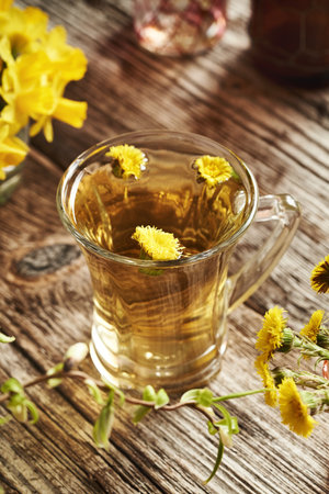 A transparent glass cup of coltsfoot tea with fresh coltsfoot flowersの写真素材