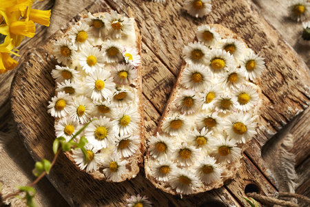 Common daisy flowers on slices of bread. Wild edible plants harvested in early spring.の写真素材