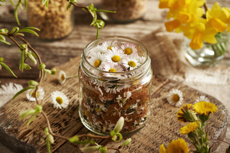 Preparation of homemade herbal syrup from common daisy flowers in springtimeの写真素材