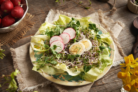 Green pea microgreens and radish sprouts in fresh vegetable salad with eggs on a table in springの写真素材