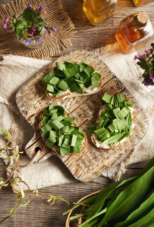 Chopped wild garlic leaves collected in the forest in early spring on slices of sourdough bread, top viewの写真素材