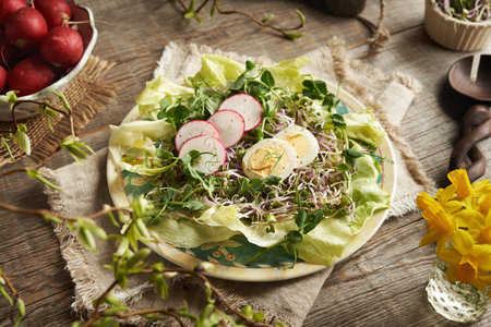 A plate of vegetable salad with radish sprouts and green pea microgreens in springtimeの写真素材