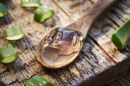 Aloe vera gel and fresh leaves, closeupの写真素材