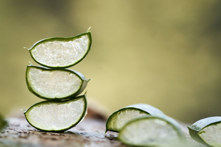 Sliced fresh aloe vera leaves with copy space, close upの写真素材