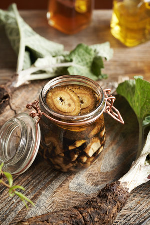 Preparation of homemade herbal tincture from fresh burdock root and alcohol in a glass jarの写真素材