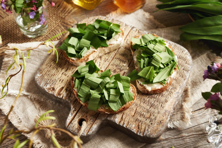 Chopped fresh bear's garlic leaves on slices of bread - wild edible plant collected in the forest in early springの写真素材
