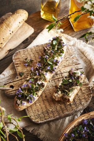 Fresh ground-ivy flowers and leaves collected in spring on slices of bread on a wooden table. Wild edible plant.の写真素材