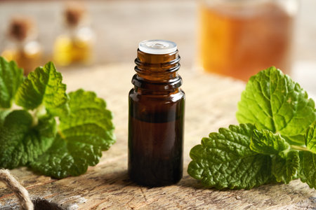 A dark bottle of melissa essential oil with fresh melissa leavesの写真素材