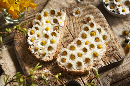 Fresh common daisy flowers on slices of sourdough bread. Spring wild edible plants.の写真素材