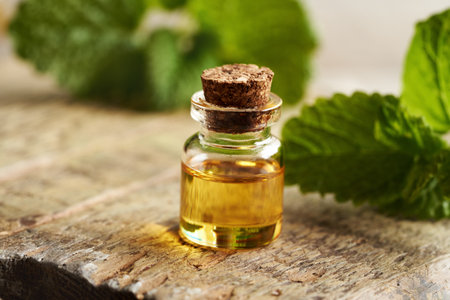 A bottle of melissa essential oil with fresh melissa leavesの写真素材