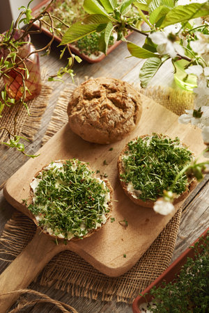 Sourdough bread with fresh homegrown garden cress sprouts or microgreens in springの写真素材