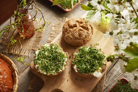Sourdough bun with fresh homegrown garden cress sprouts on a tableの写真素材