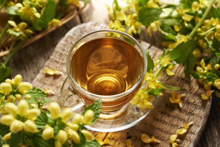 A cup of herbal tea with blooming yellow archangel or golden dead-nettle plantの写真素材