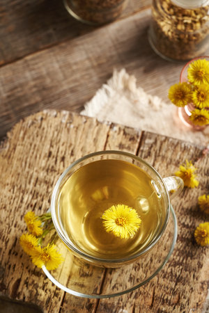 A cup of coltsfoot tea with fresh coltsfoot flowers on a wooden table with copy spaceの写真素材