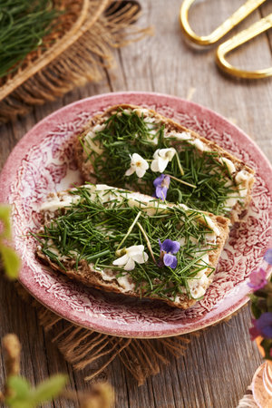 Two slices of bread with crow garlic or onion grass - wild edible plant collected in springの写真素材